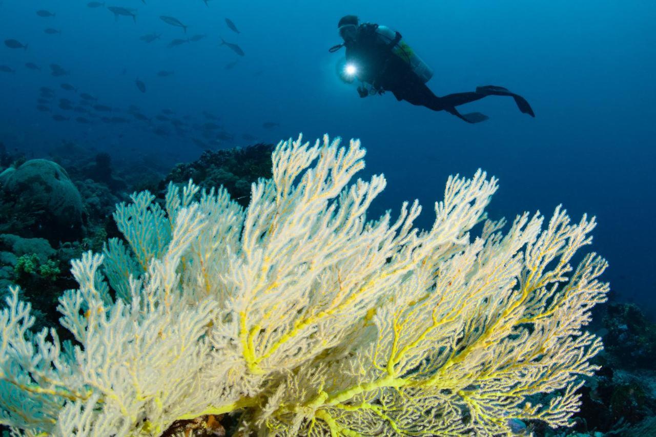 Metita Beach & Dive Resort Daruba Экстерьер фото